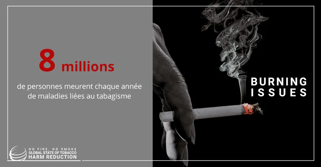 La réduction des risques tabagiques dans le monde